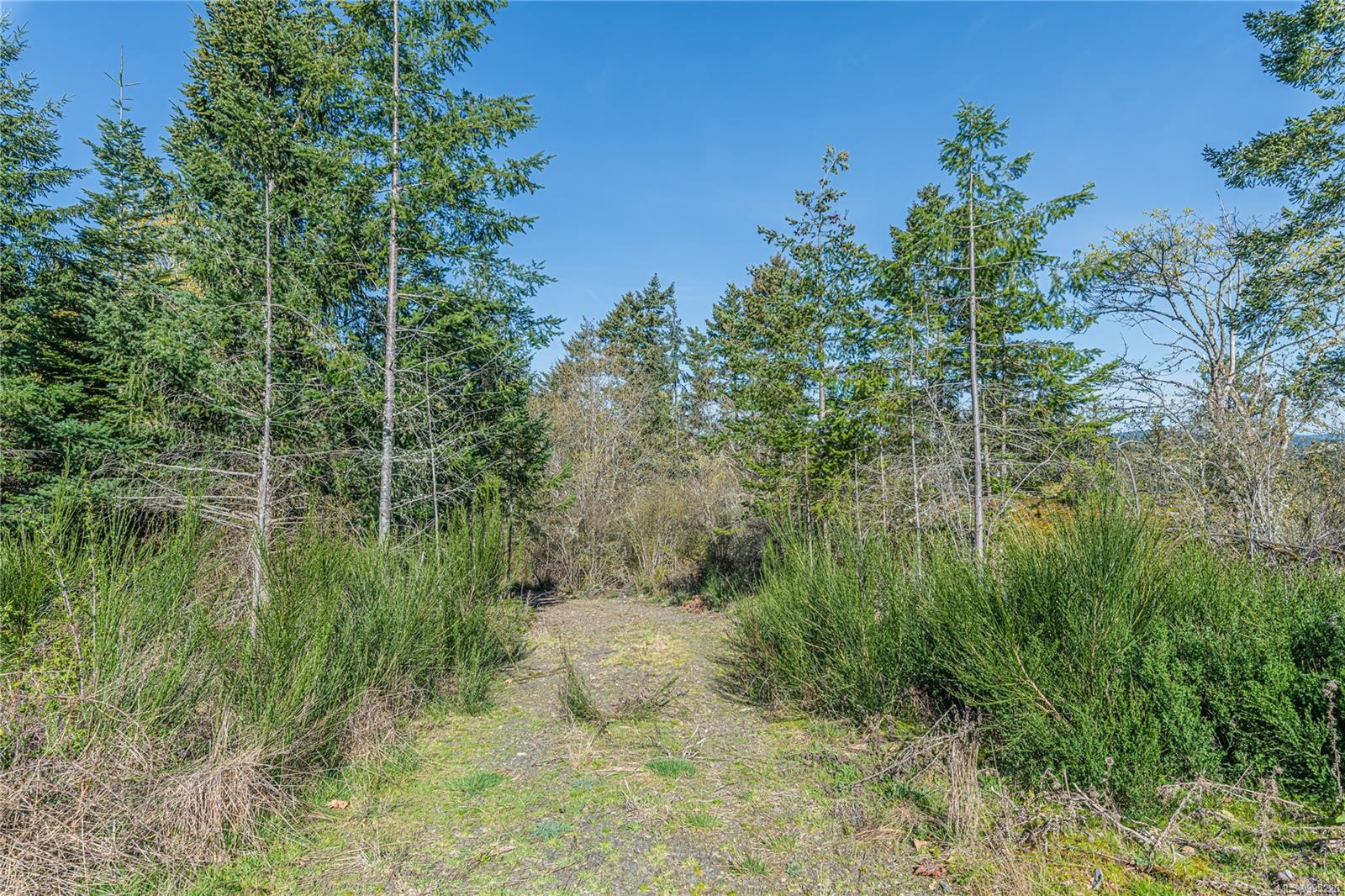 547 Beddis Rd, Salt Spring, BC