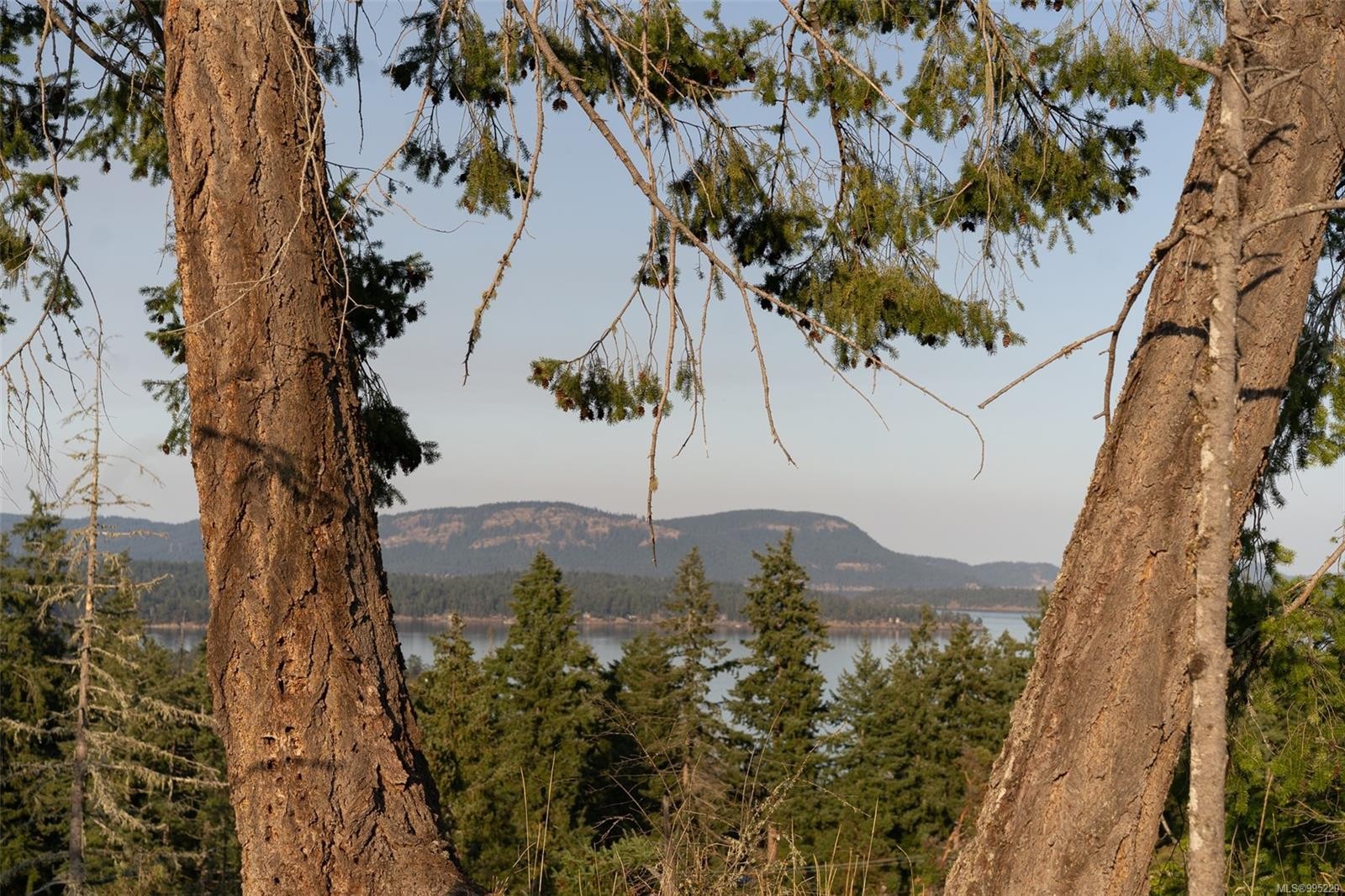 547 Beddis Rd, Salt Spring, BC