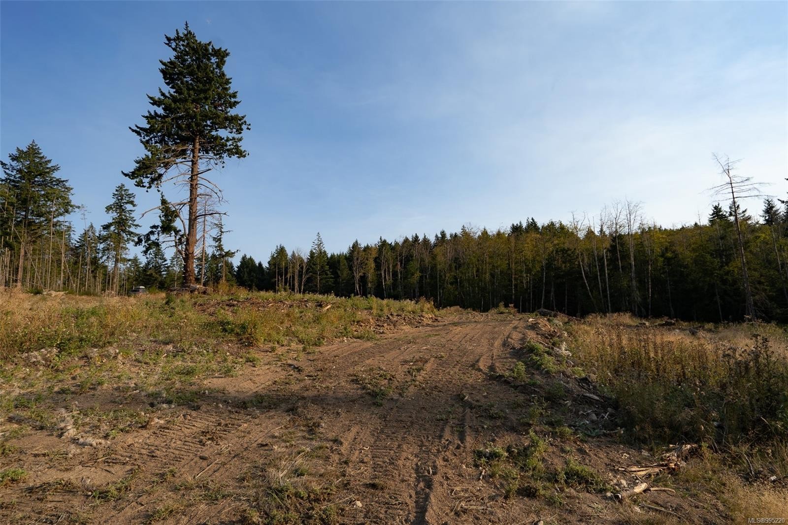 547 Beddis Rd, Salt Spring, BC