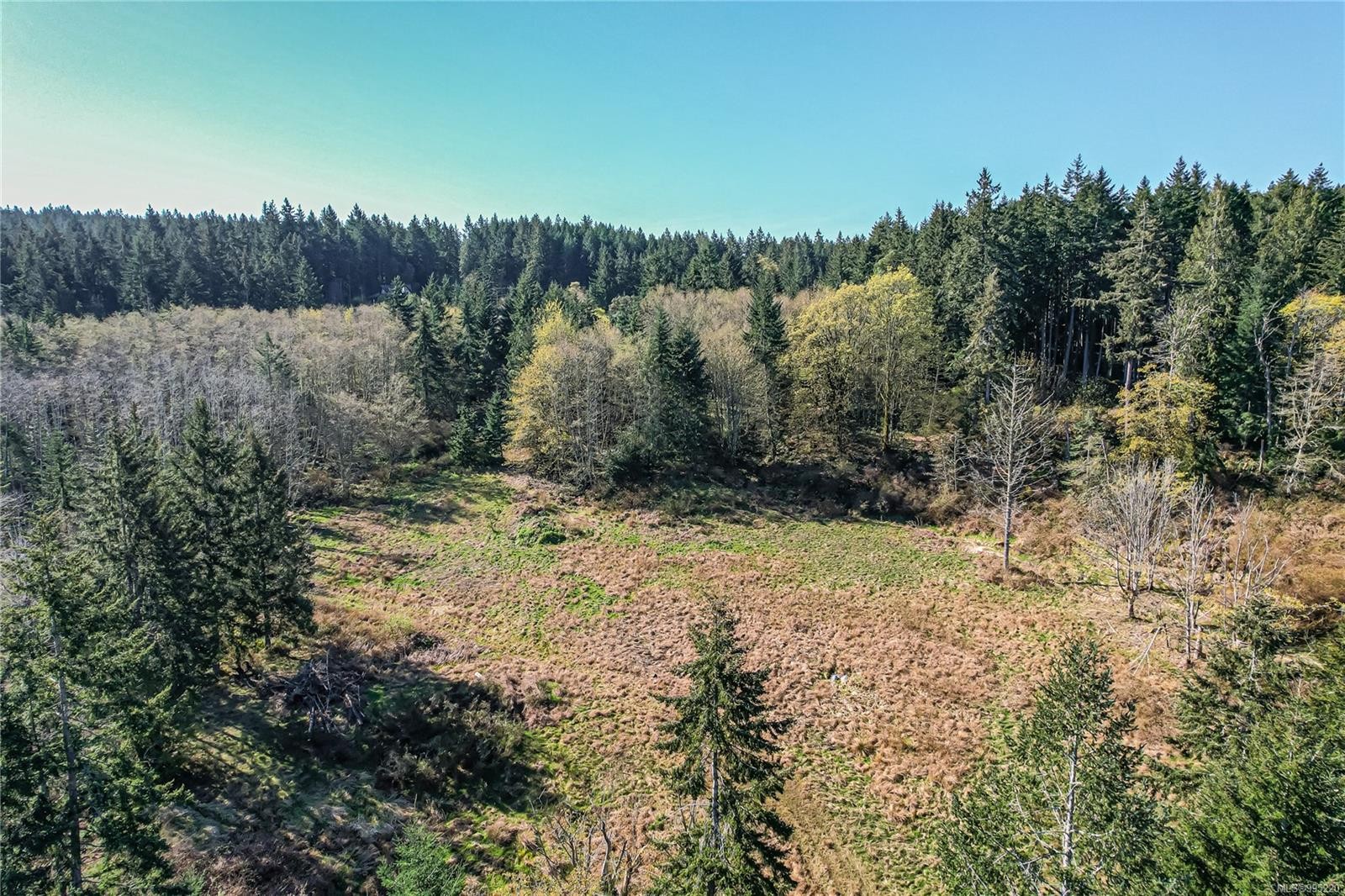 547 Beddis Rd, Salt Spring, BC