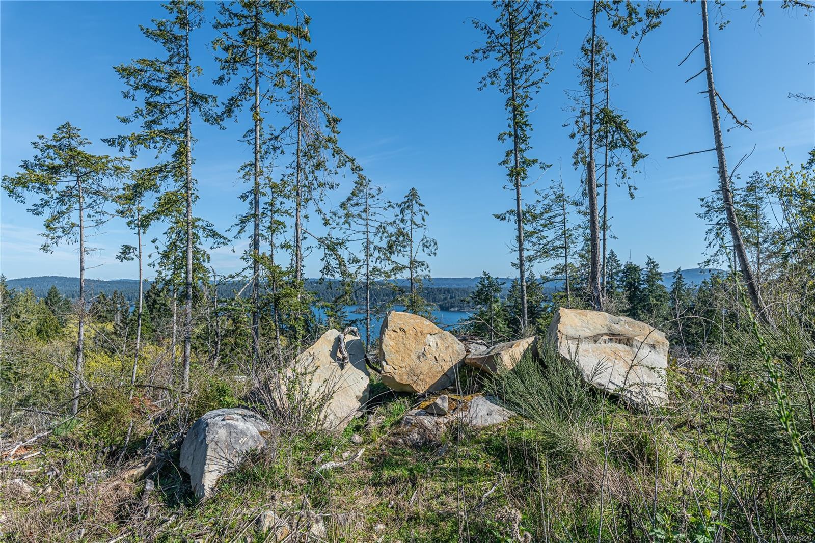 547 Beddis Rd, Salt Spring, BC