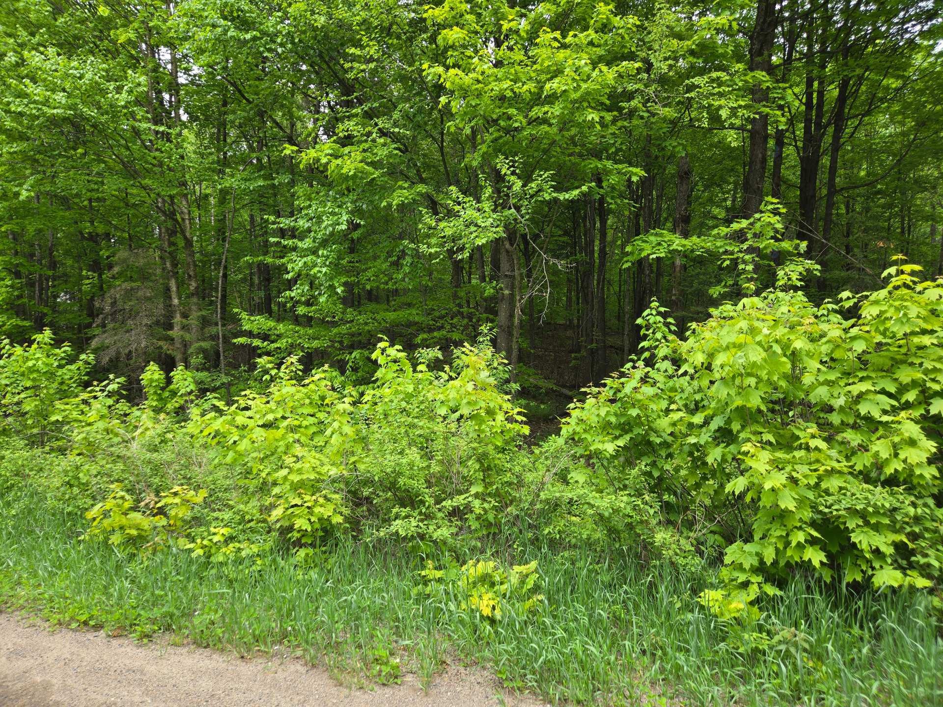 Façade - Ch. Braemar, Gore, QC