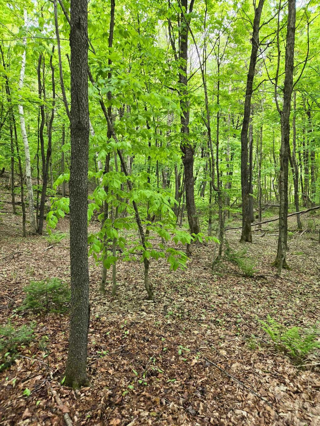 Land/Lot - Ch. Braemar, Gore, QC