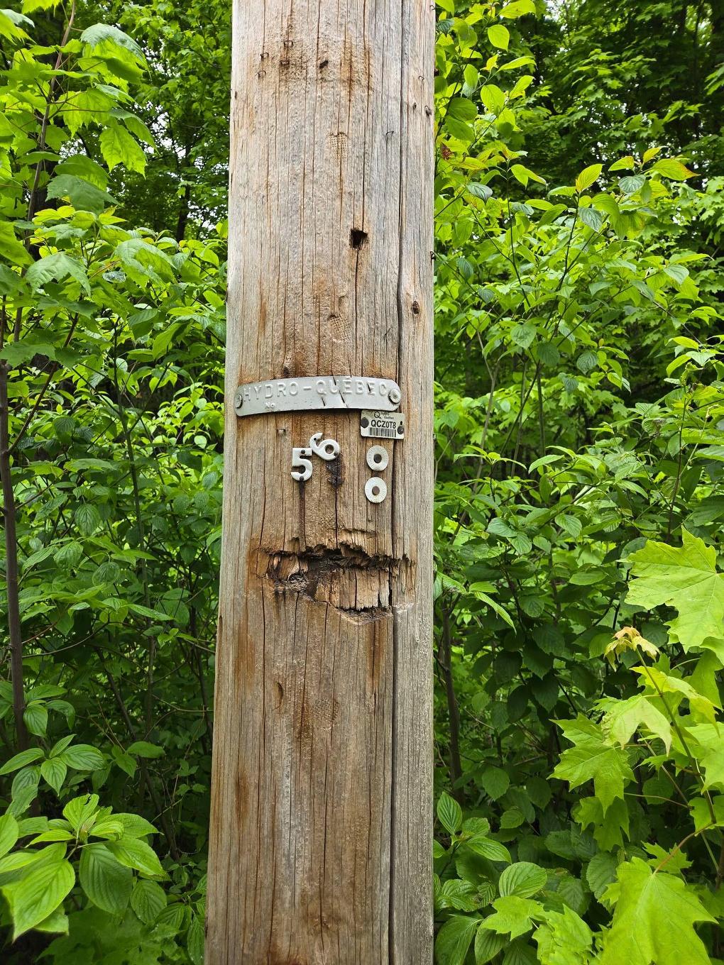 Other - Ch. Braemar, Gore, QC