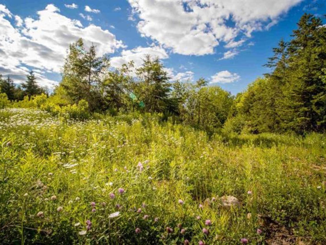 Lot A6 Aylesford Road, Lake Paul, NS