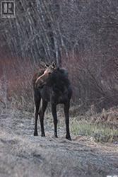 Front Row Lot 16 Keg Lake, Canwood Rm No. 494, SK