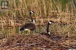 Front Row Lot 16 Keg Lake, Canwood Rm No. 494, SK