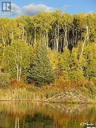 Front Row Lot 16 Keg Lake, Canwood Rm No. 494, SK