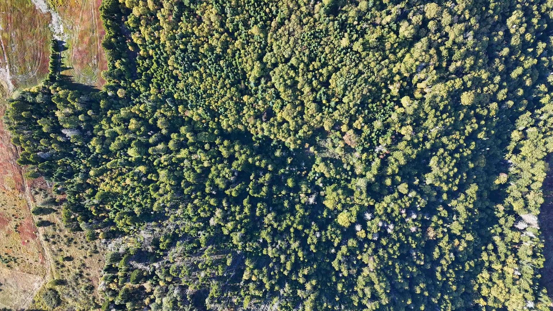 N/A 209 Highway, Wards Brook, NS