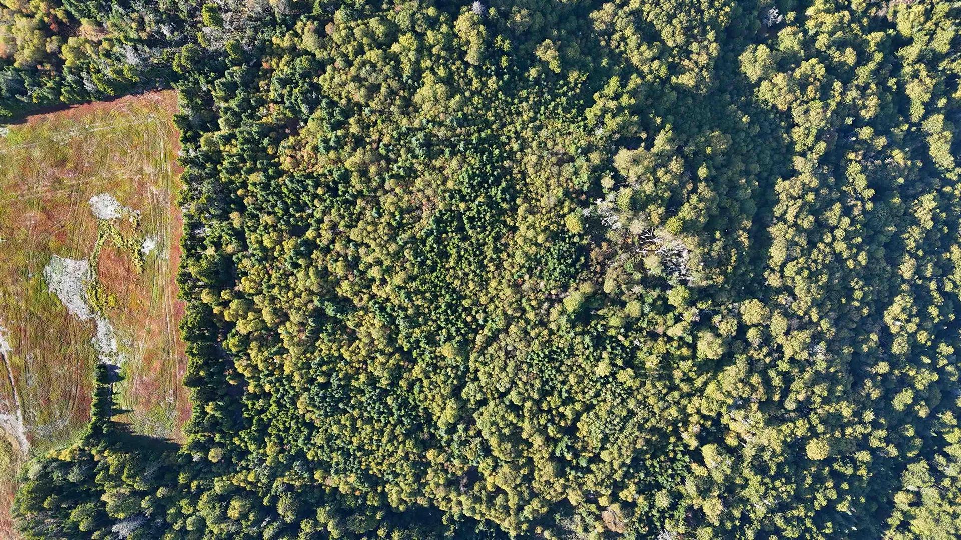 N/A 209 Highway, Wards Brook, NS