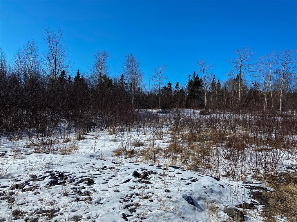 5 A Allens Avenue, Embree, NL