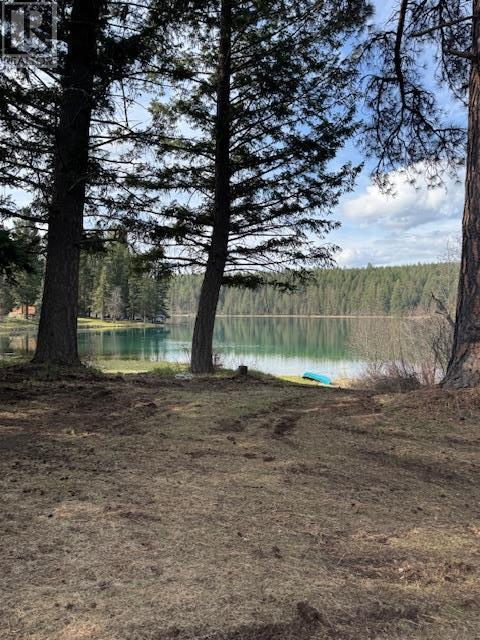 2325 Wardner Fort Steele Road, Fort Steele, BC - Outdoor With View