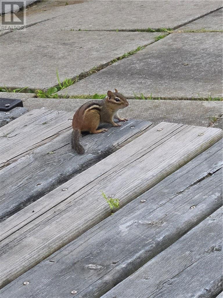 295 Riverside Road, Britt, ON