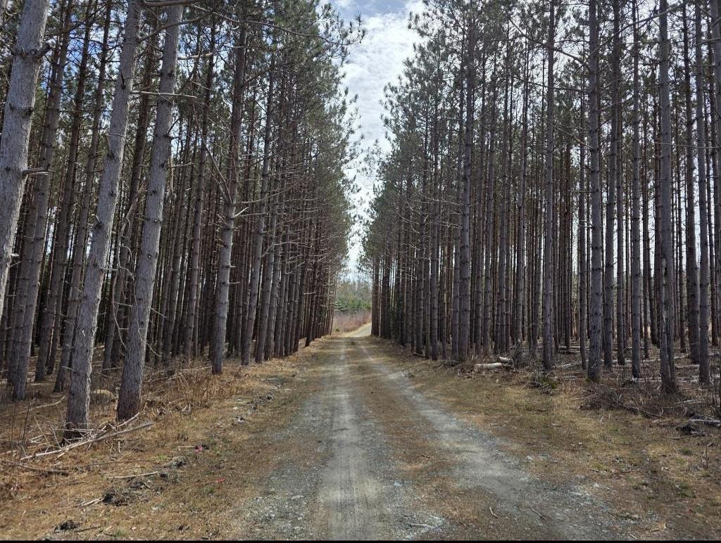 Lot 24-5 Ridge Road, North Range, NS