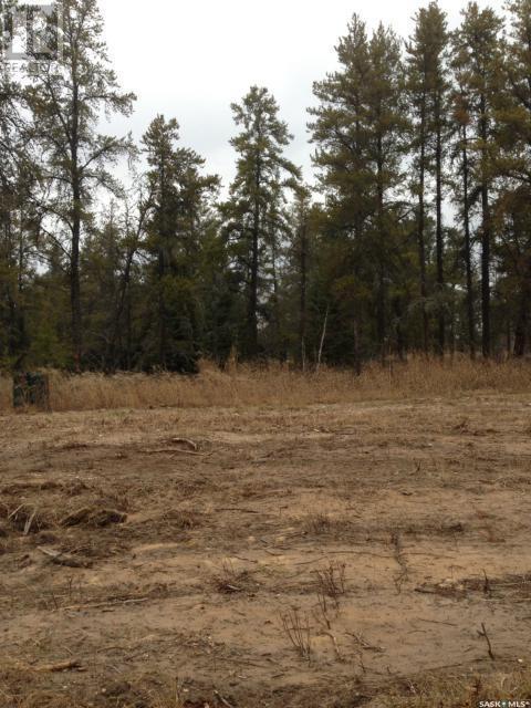 Regional Park Lot 6-3, Hudson Bay Rm No. 394, SK