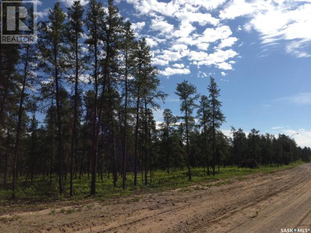 Regional Park Lot 1-3, Hudson Bay Rm No. 394, SK