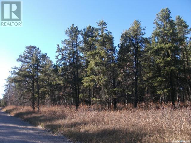 Regional Park Lot 1-3, Hudson Bay Rm No. 394, SK