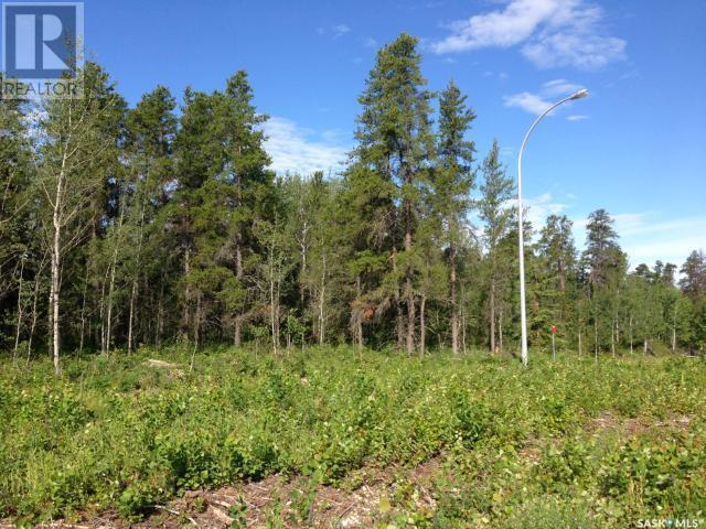 Regional Park Lot 1-3, Hudson Bay Rm No. 394, SK