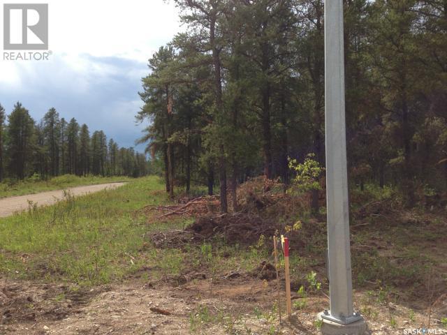 Regional Park Lot 1-3, Hudson Bay Rm No. 394, SK