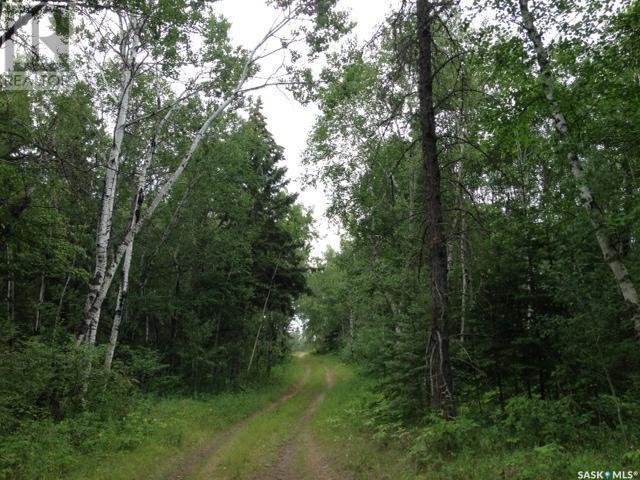 Regional Park Lot 3-3, Hudson Bay Rm No. 394, SK