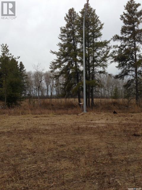 Regional Park Lot 3-3, Hudson Bay Rm No. 394, SK