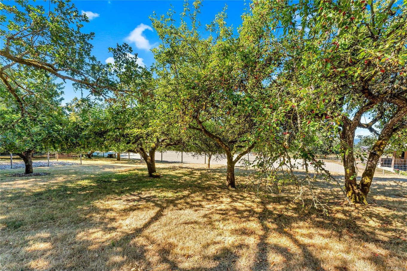 6140 Lakes Rd, Duncan, BC