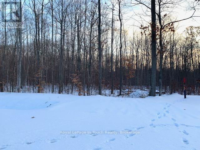 Lot in Winter - Lot 64 Whispering Pine Circle, Tiny, ON