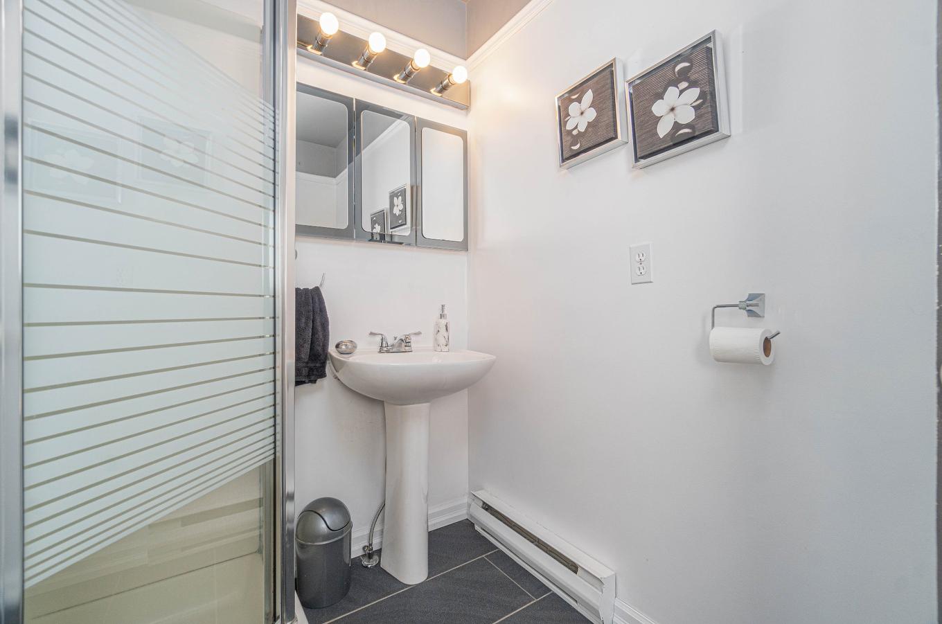 Bathroom - 103 - 111 Ch. Du Lac-Aux-Bois-Francs O., Rivière-Rouge, QC - Indoor Photo Showing Bathroom