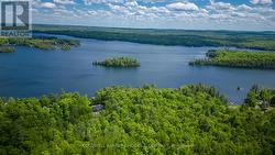 Aerial view of lake and 1045 Wabalac Road -