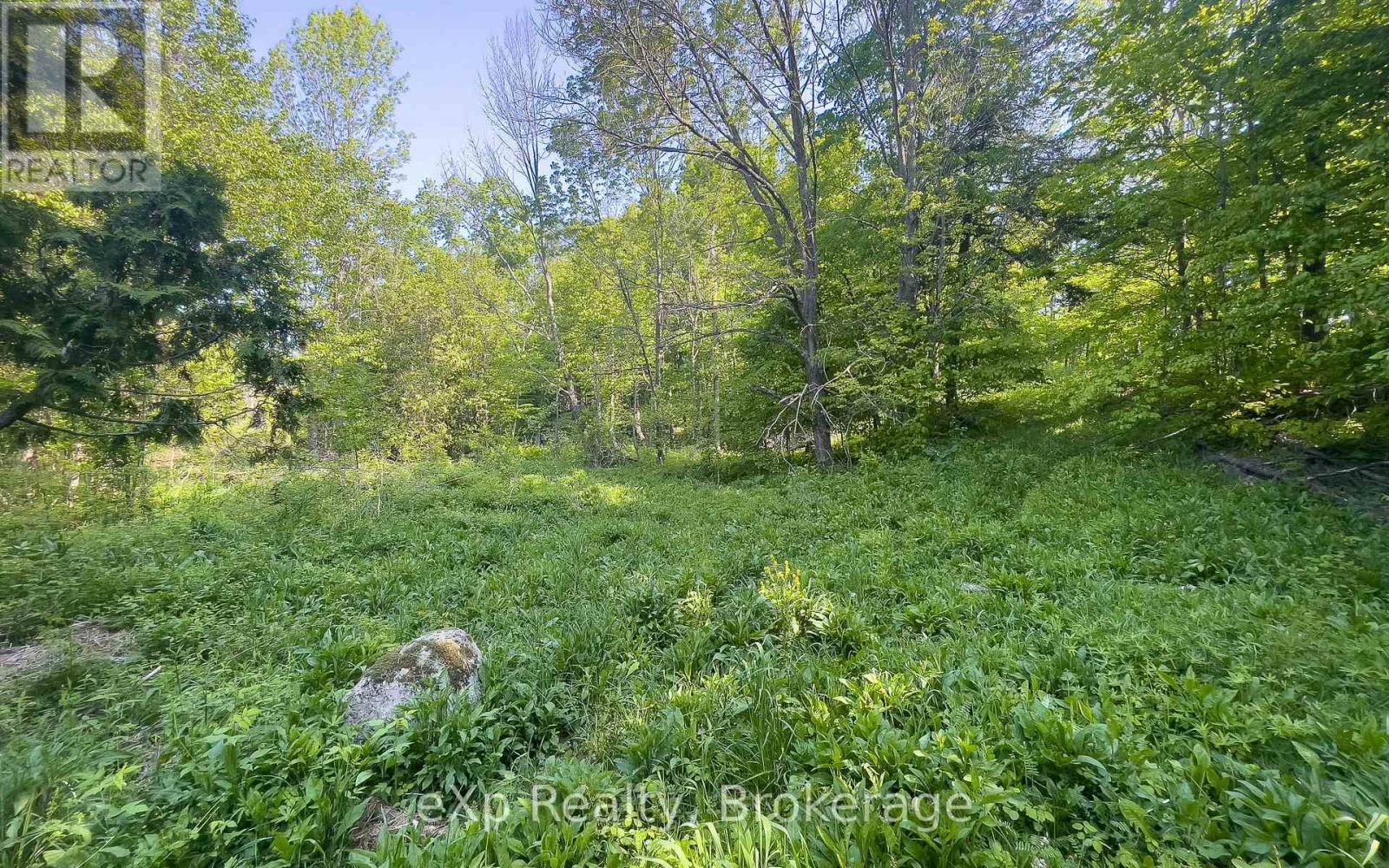 E 1/2 Lt 29-30 Con 4; Sideroad 30, Meaford, ON