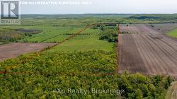 PTLT 29 CON 1S, ST. VINCENT-SYDENHAM TOWNLINE Meaford, ON N0H 1B0