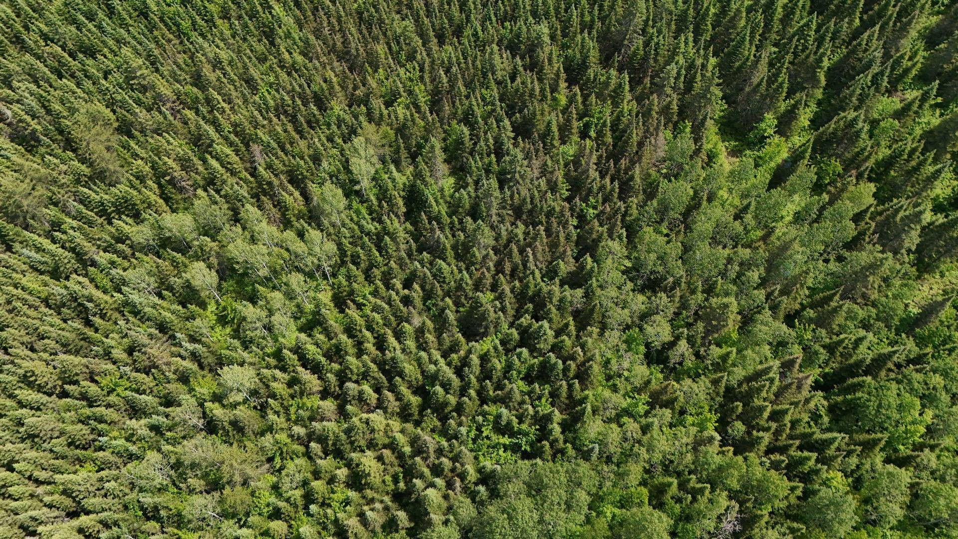 Aerial View - 7E Rang E., Saint-Joseph-De-Kamouraska, QC