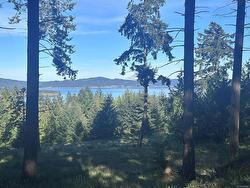 141 Blue Stone Dr Salt Spring, BC V8K 1A6