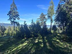 143 Blue Stone Dr Salt Spring, BC V8K 1A6