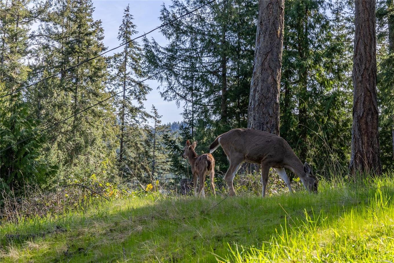 1609 Schooner Way, Pender Island, BC