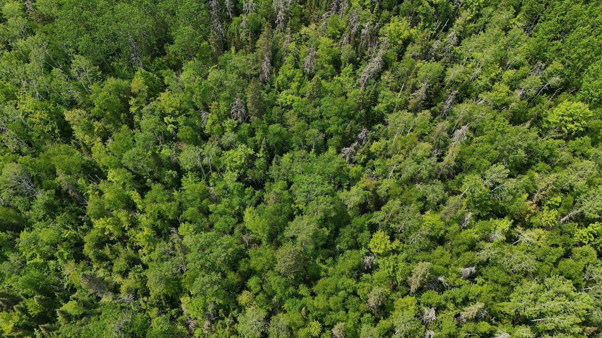 Aerial View - 7E Rang E., Saint-Joseph-De-Kamouraska, QC