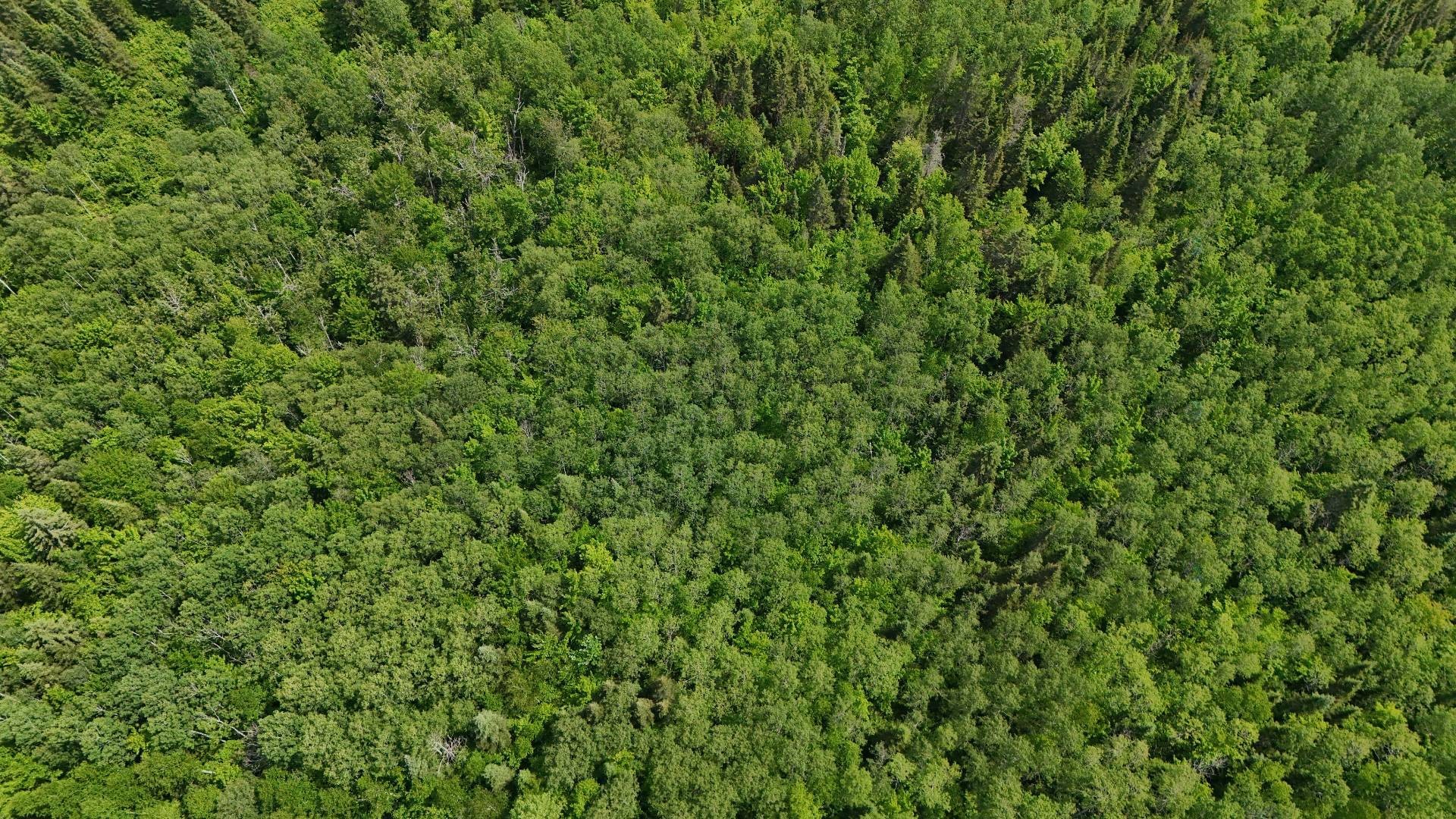 Photo aérienne - 7E Rang E., Saint-Joseph-De-Kamouraska, QC