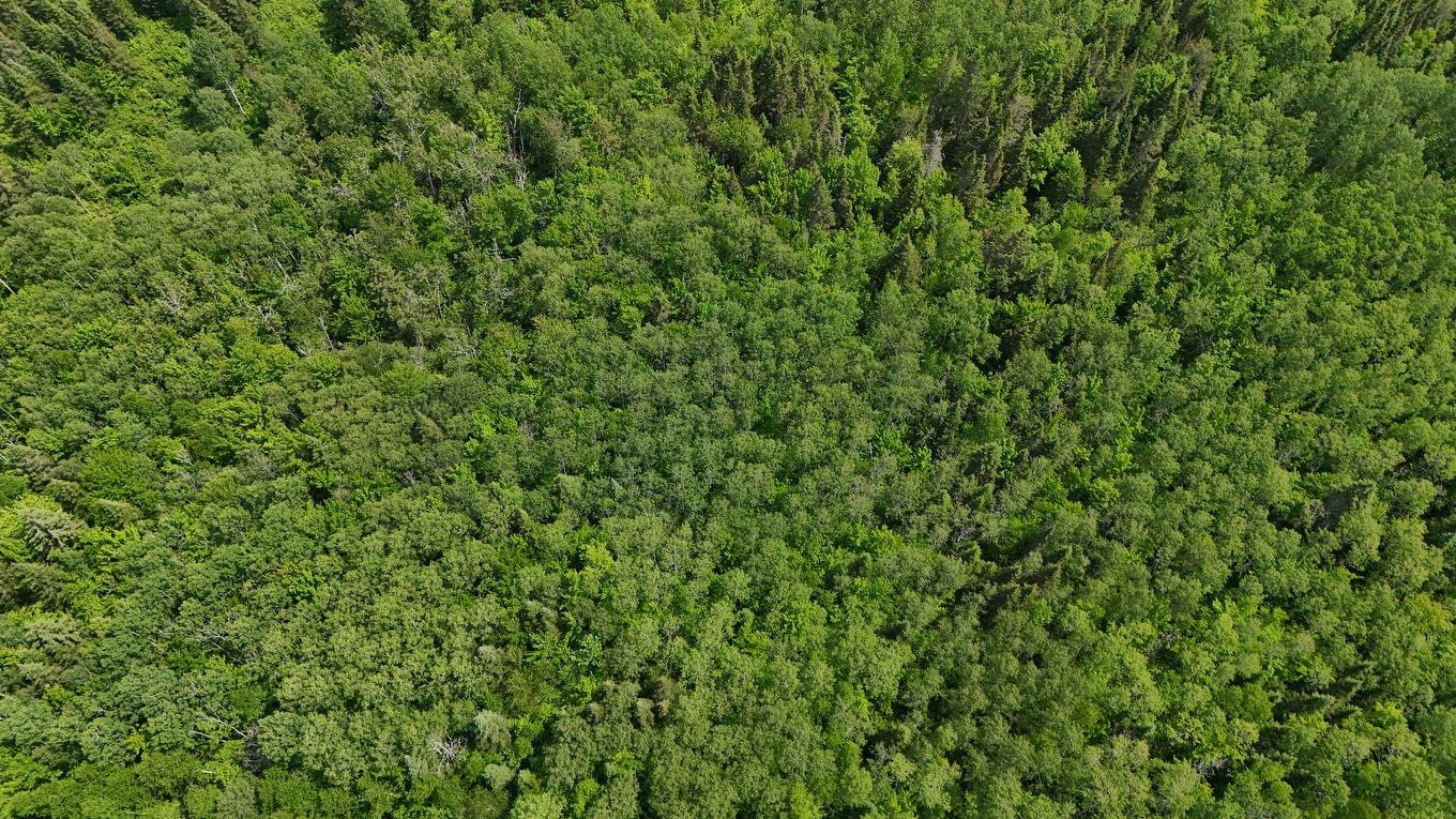 Photo aérienne - 7E Rang E., Saint-Joseph-De-Kamouraska, QC