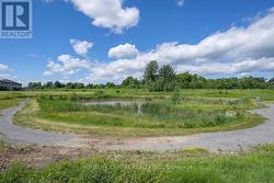 no rear neighbours -