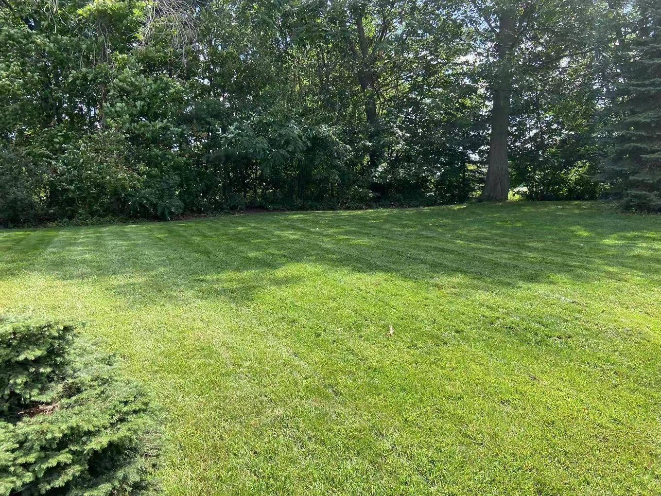 Garden - 8980 Crois. Roussin, Brossard, QC - Outdoor