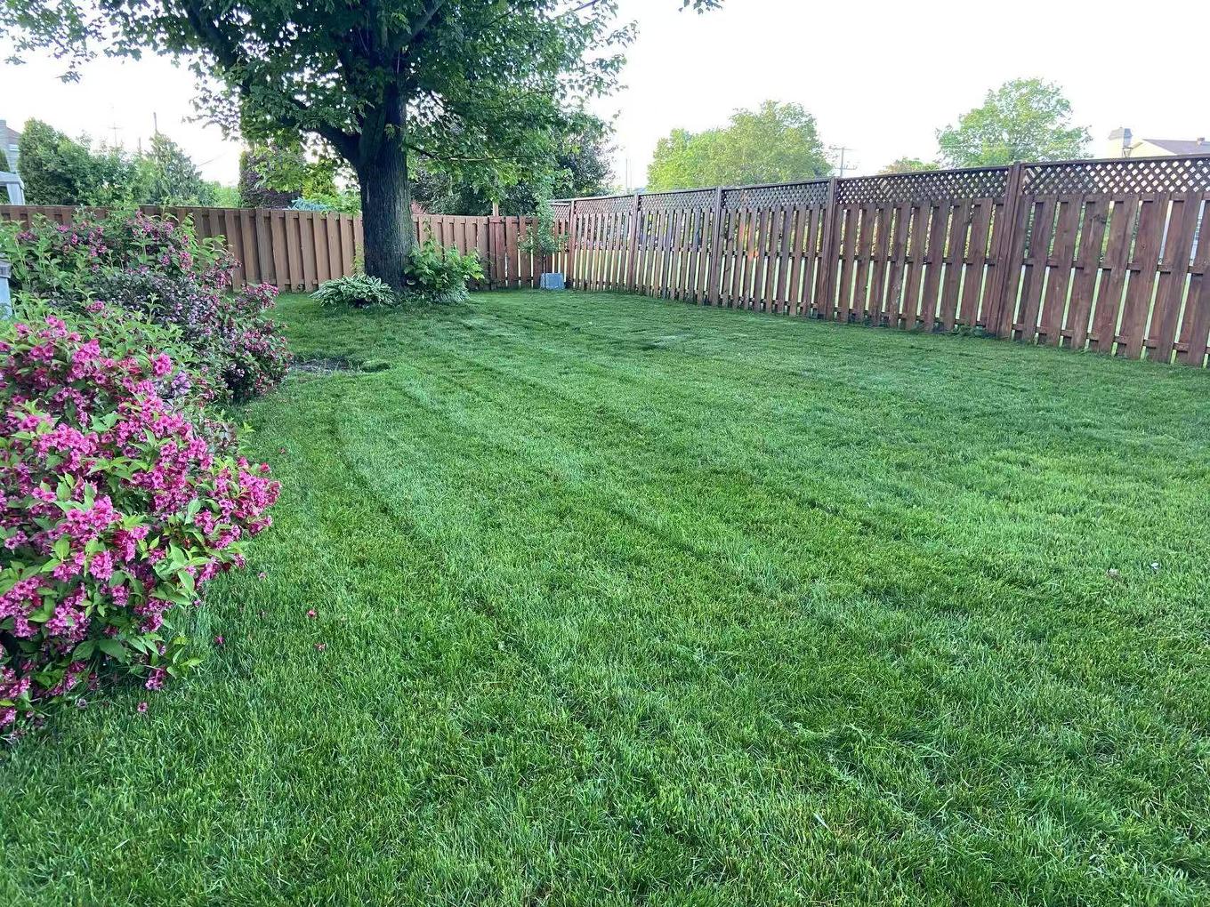 Backyard - 8980 Crois. Roussin, Brossard, QC - Outdoor