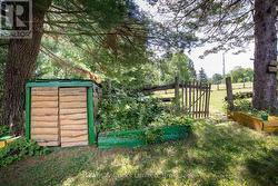 shed and gate -