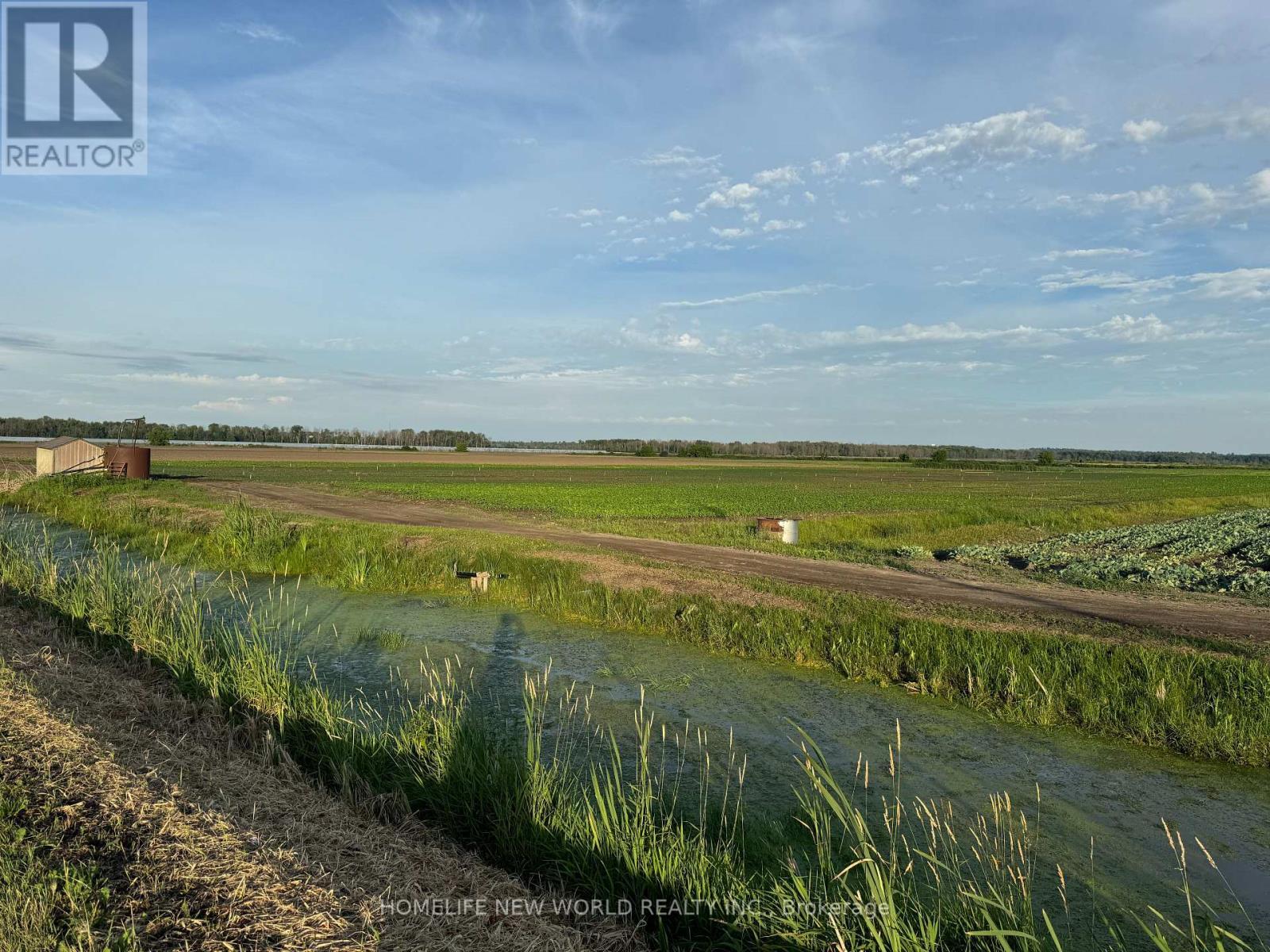 571 Ravenshoe Road, East Gwillimbury, ON