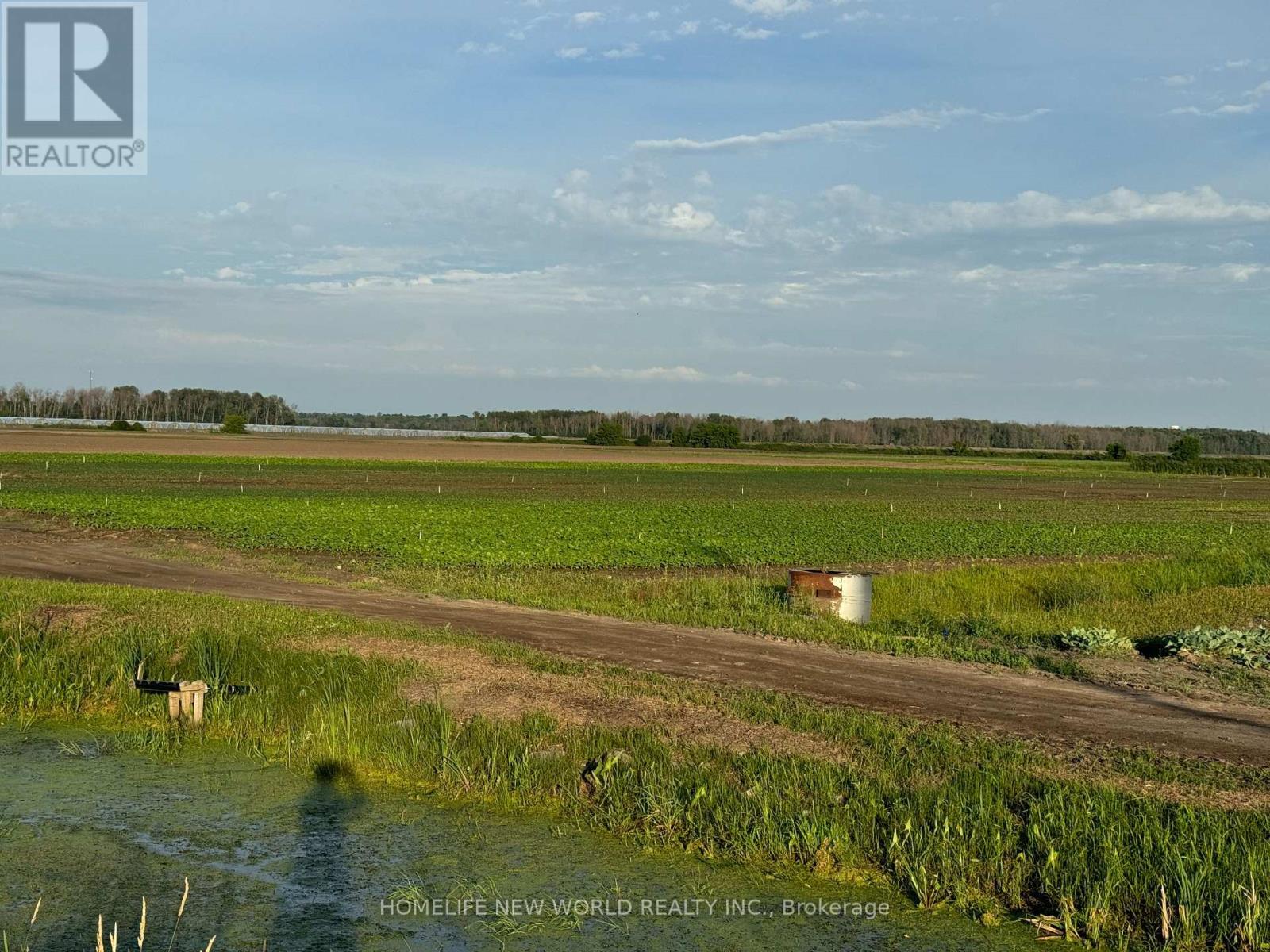 571 Ravenshoe Road, East Gwillimbury, ON