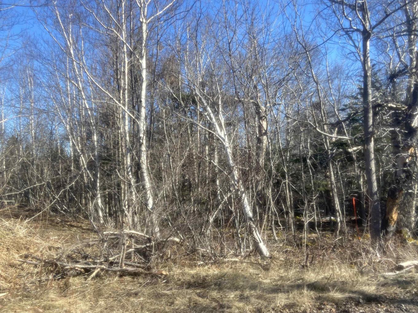 Lot 9 Bay View Lane, Culloden, NS