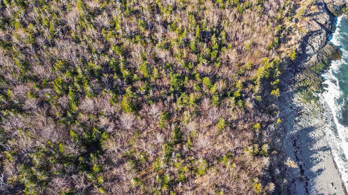 Lot 9 Bay View Lane, Culloden, NS