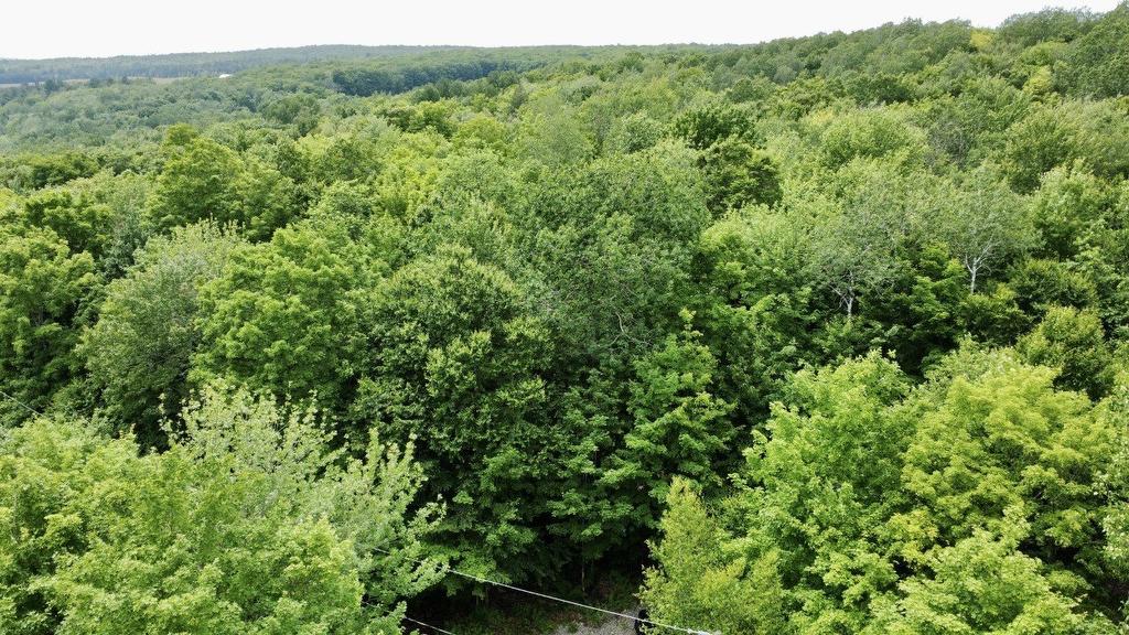 Aerial photo - 127 Ch. Macmillan, Inverness, QC