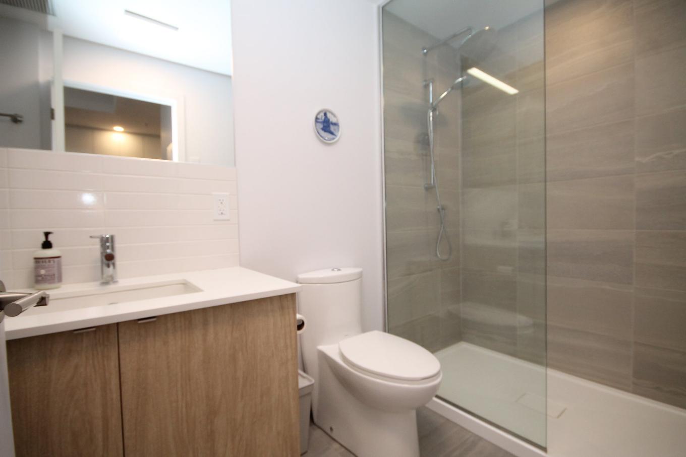 Salle de bains - 813-1320 Rue Olier, Montréal (Le Sud-Ouest), QC - Indoor Photo Showing Bathroom