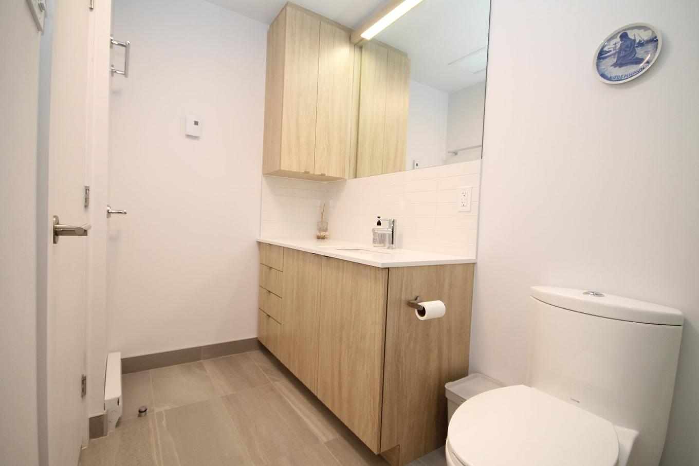 Salle de bains - 813-1320 Rue Olier, Montréal (Le Sud-Ouest), QC - Indoor Photo Showing Bathroom