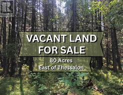 . LT 9 RCP H783; HURON SHORES Huron Shores, ON P0R 1L0